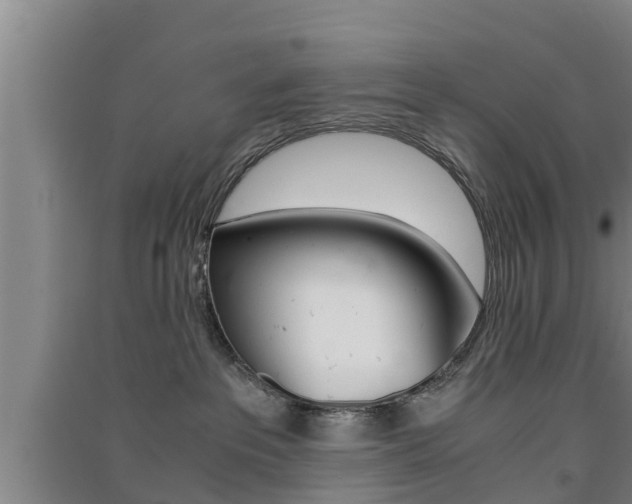 X0000091550237200708171047