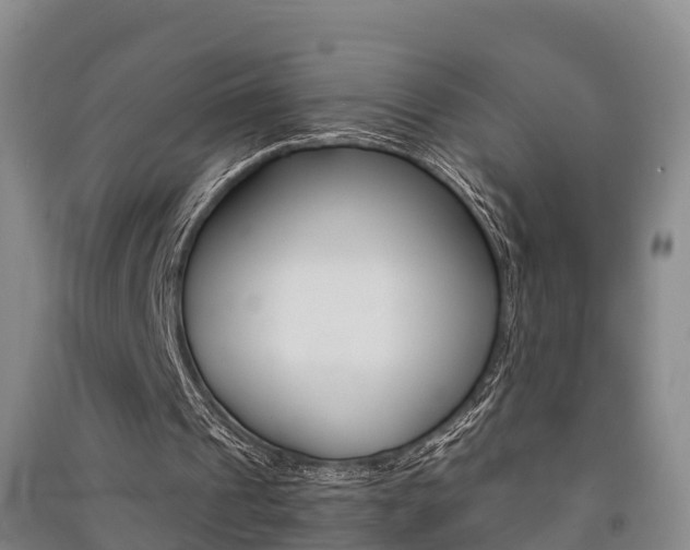 X0000091550241200708171046