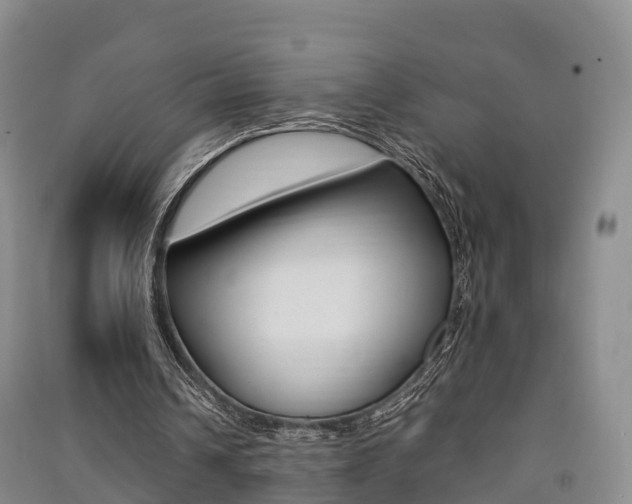 X0000091550242200708171046