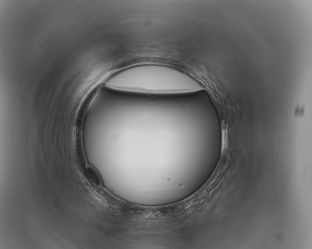 X0000091550243200708171046