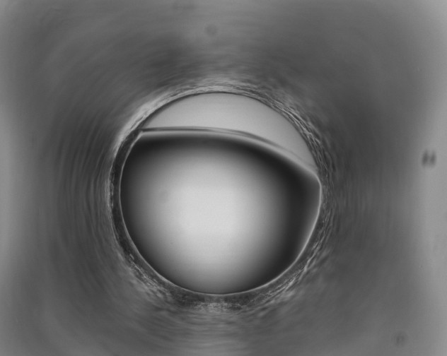 X0000091550244200708171046