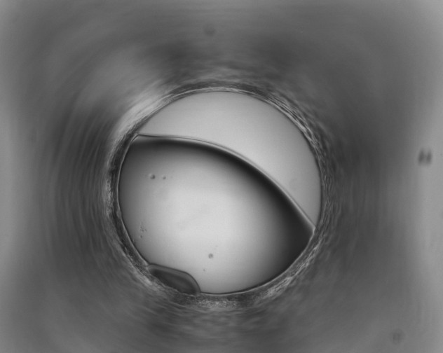 X0000091550245200708171046