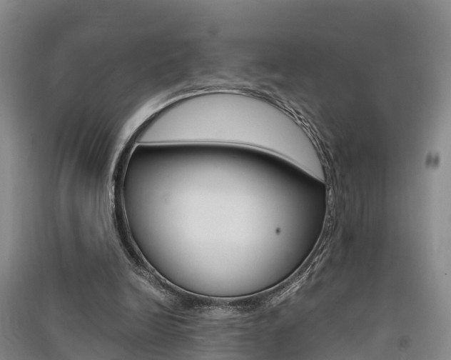 X0000091550246200708171046