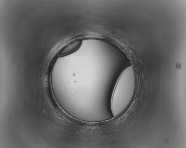 X0000091550247200708171046