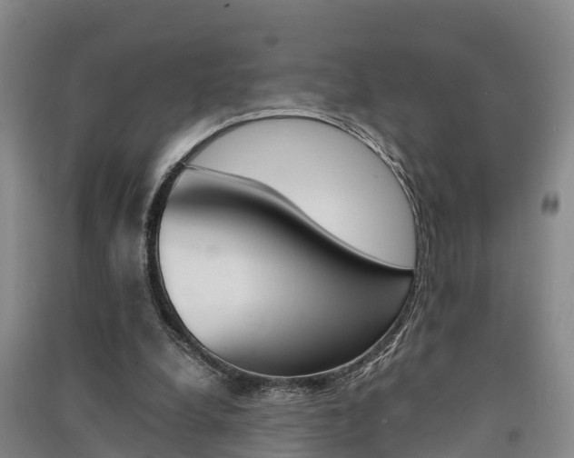 X0000091550248200708171046