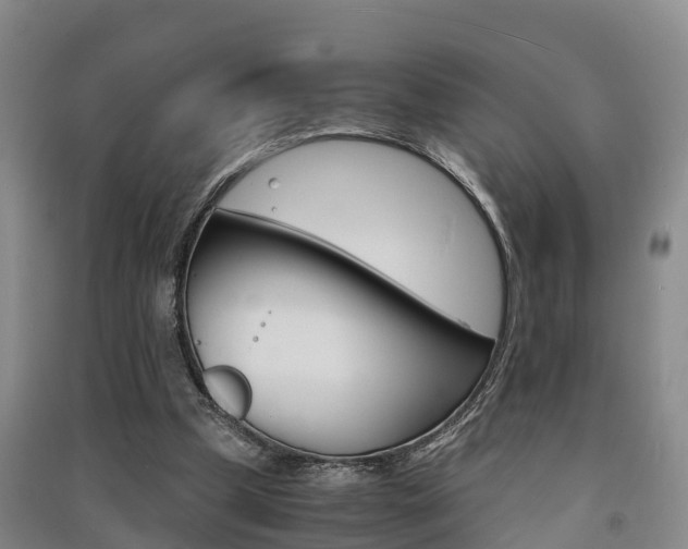 X0000091550249200708171046