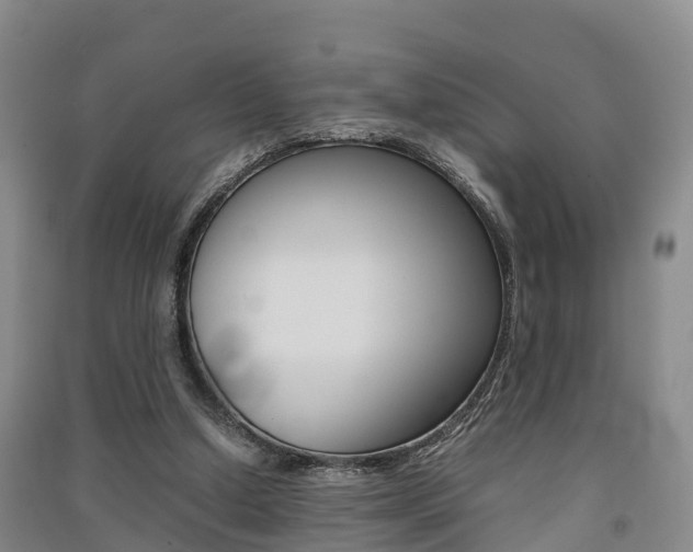 X0000091550250200708171046