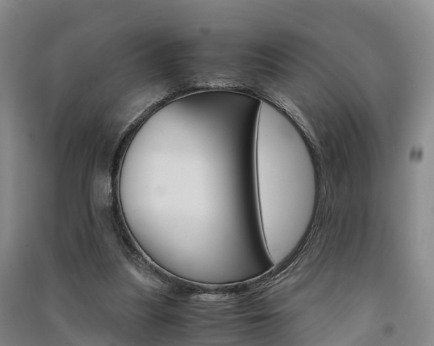 X0000091550251200708171046