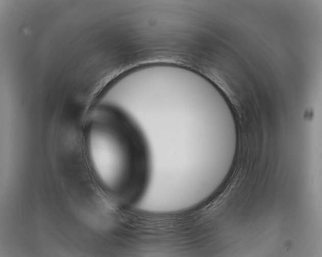 X0000091550252200708171046