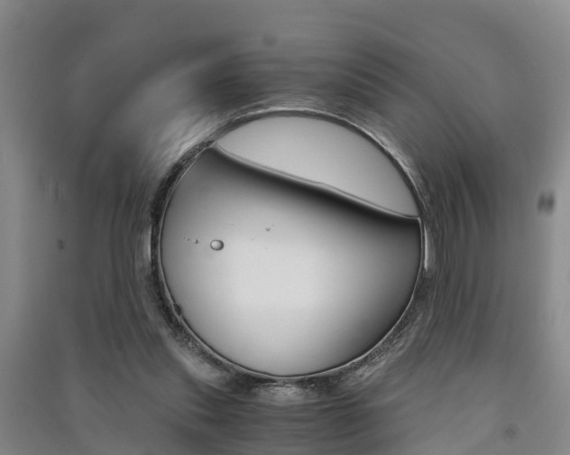 X0000091550253200708171046