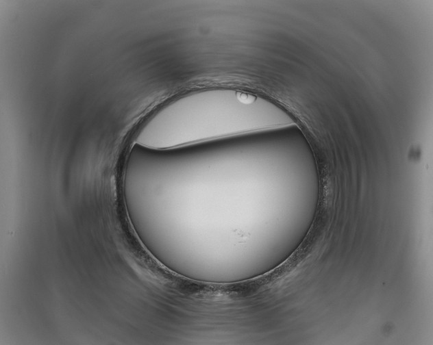 X0000091550254200708171046