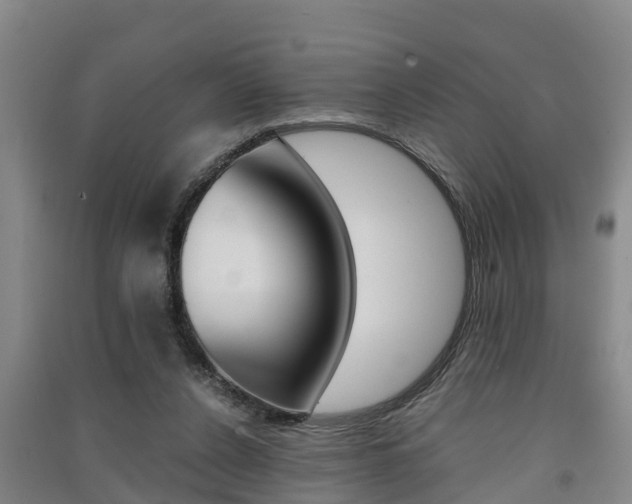 X0000091550256200708171046