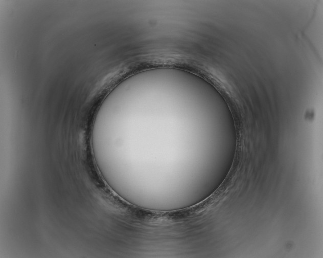 X0000091550258200708171046