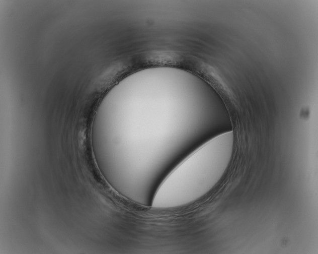 X0000091550259200708171046