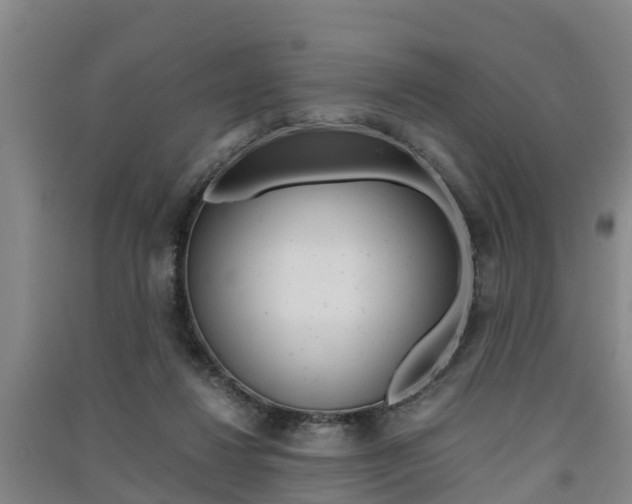 X0000091550260200708171046