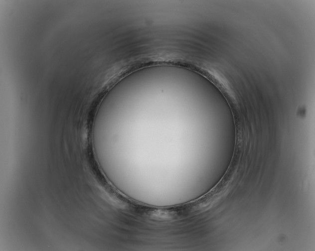 X0000091550261200708171046