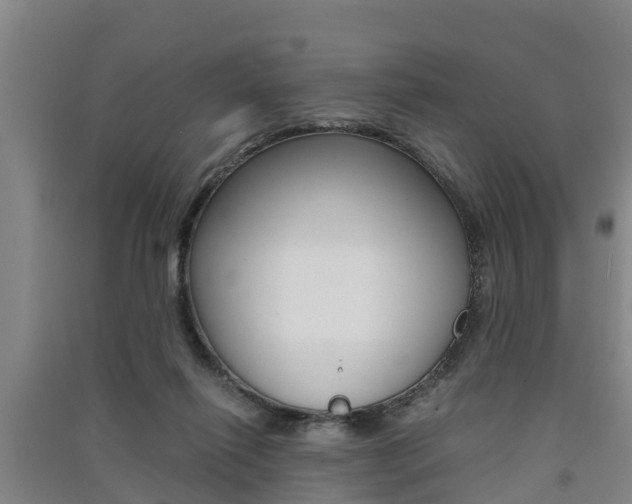 X0000091550262200708171046