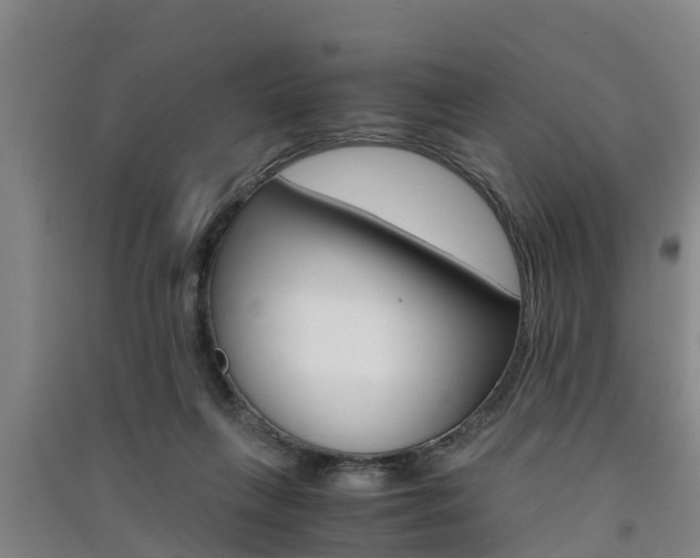 X0000091550263200708171046