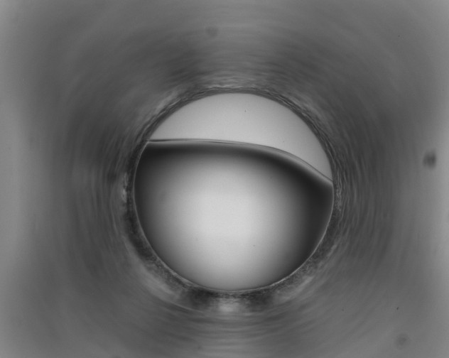 X0000091550264200708171046