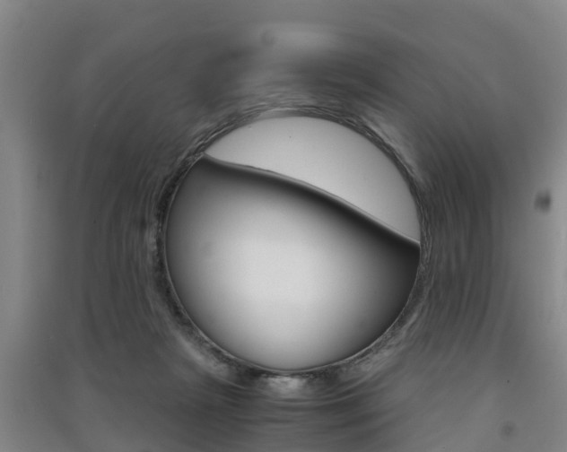 X0000091550265200708171046