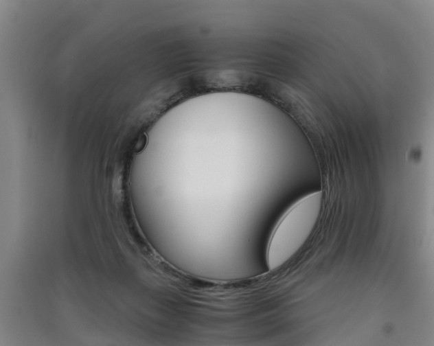 X0000091550267200708171047