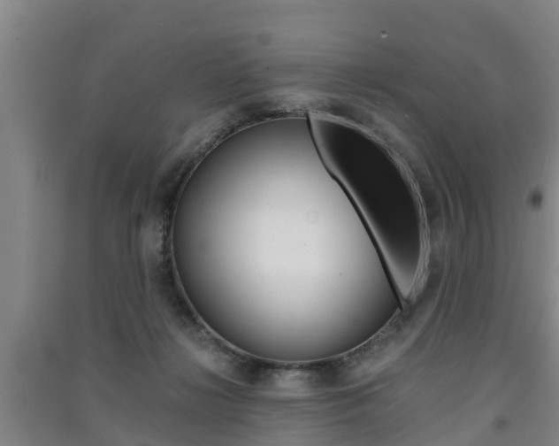 X0000091550268200708171047