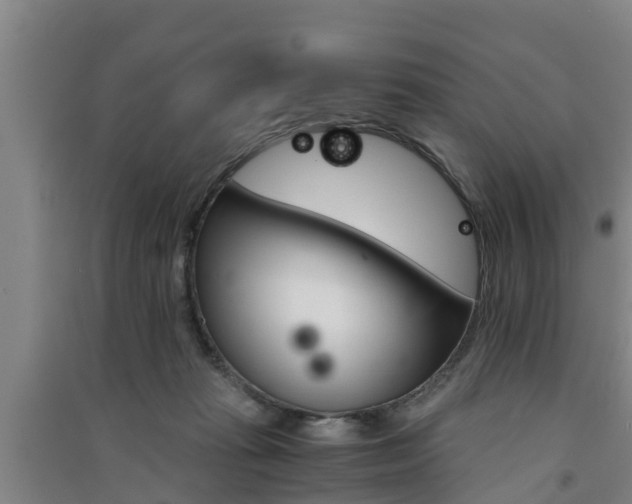 X0000091550269200708171047