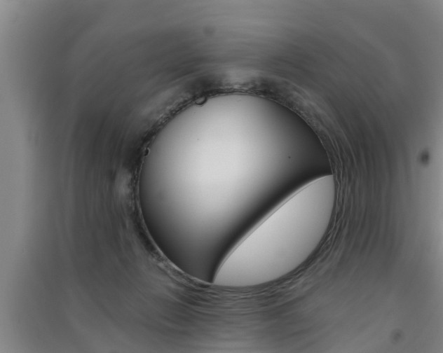 X0000091550270200708171047