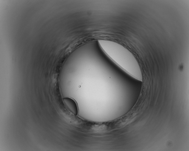X0000091550271200708171047