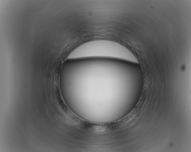 X0000091550272200708171047
