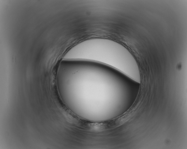 X0000091550273200708171047