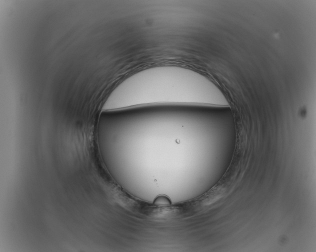 X0000091550274200708171047