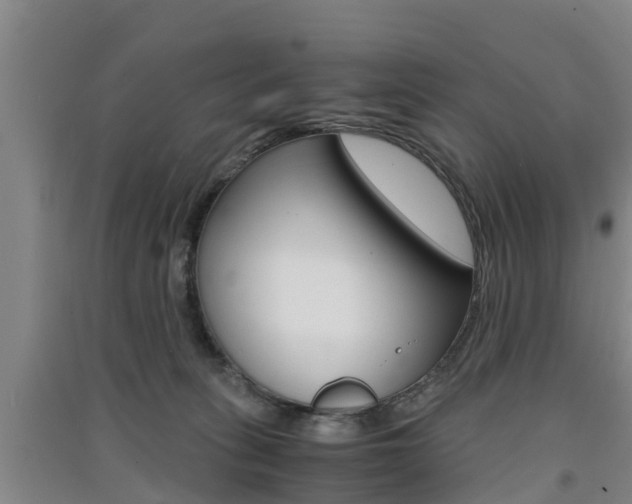 X0000091550275200708171047
