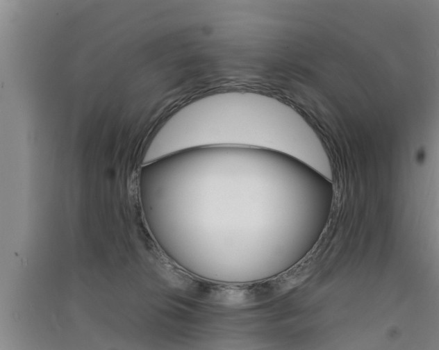 X0000091550276200708171047