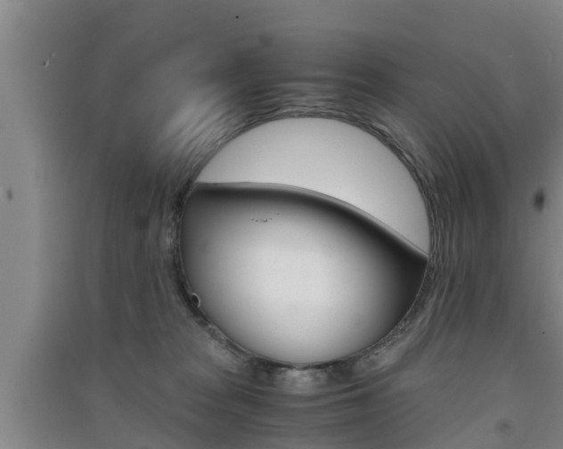 X0000091550277200708171047