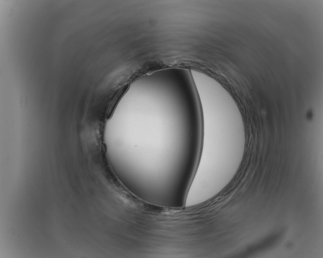 X0000091550280200708171047