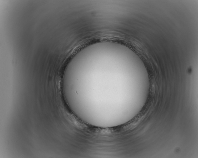 X0000091550282200708171047