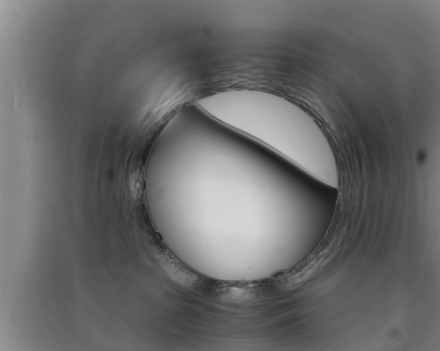 X0000091550285200708171047