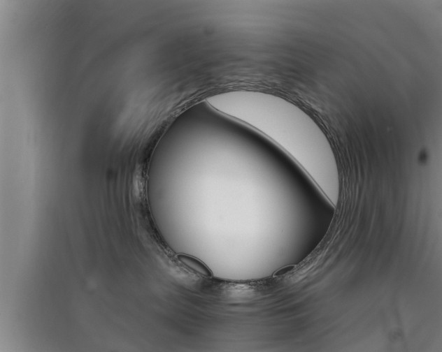 X0000091550287200708171047