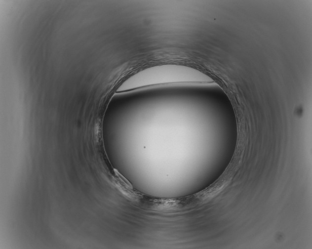 X0000091550288200708171047
