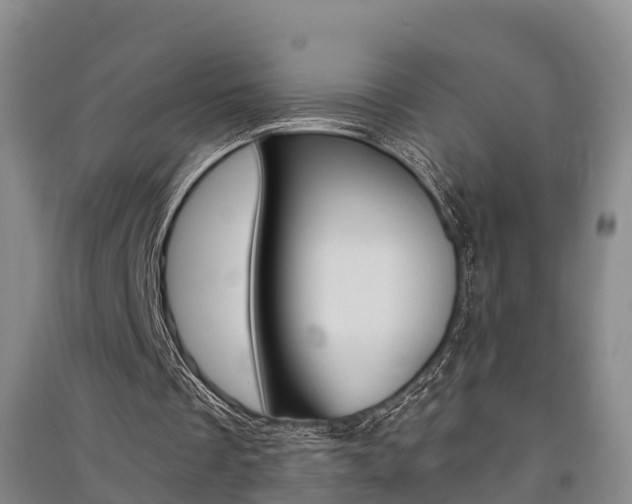 X0000091550289200708171046