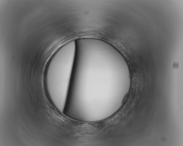X0000091550290200708171046