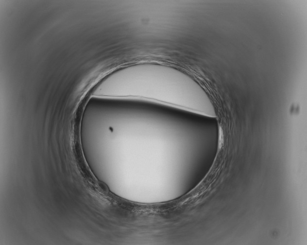 X0000091550291200708171046
