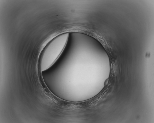 X0000091550292200708171046