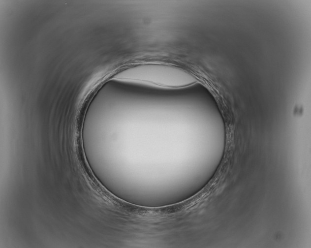 X0000091550293200708171046