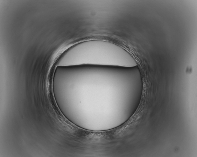 X0000091550294200708171046