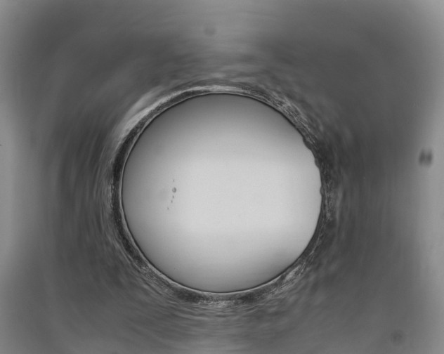 X0000091550295200708171046