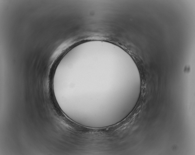 X0000091550296200708171046