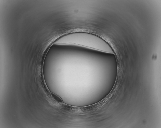 X0000091550297200708171046