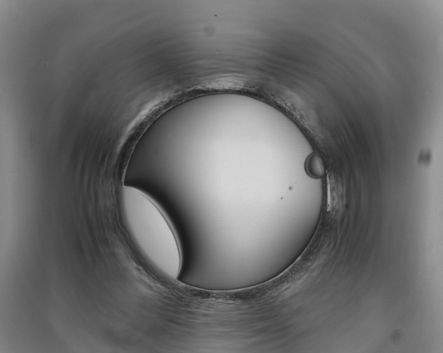 X0000091550300200708171046